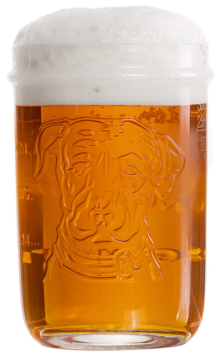 Verre à biere Lagunitas 300 ml - 6 pièces