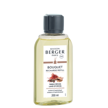 Recharge Maison Berger - pour bouquet parfumé - Terre des épices - 200 ml