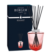 Bouquet Parfumé Maison Berger Terra Rouge (sans parfum d'intérieur)