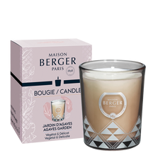 Bougie parfumée Maison Berger Joy Agaves Garden