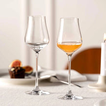 Verres à liqueur Leonardo Brunelli 210 ml - 6 pièces