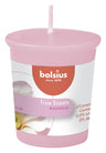 Bougie parfumée Bolsius / Recharge - pour porte-bougie - True Scents Magnolia - 5 cm / ø 4,5 cm