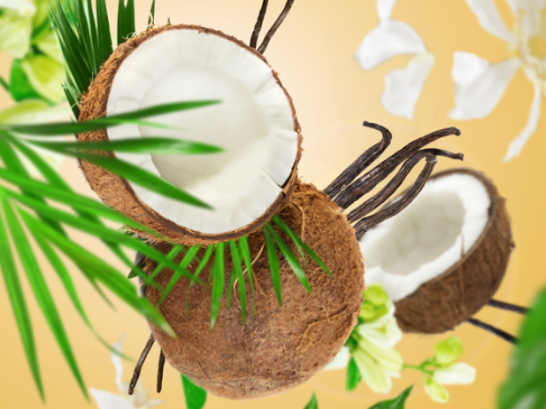 Recharge Maison Berger - pour parfum de voiture - Coconut Monoi - 2 Pièces