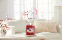 Bougie parfumée Yankee Candle Sweet Plum Sake - Moyenne - 13 cm / ø 11 cm