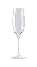 Coupe à Champagne Rosenthal DiVino - 220 ml