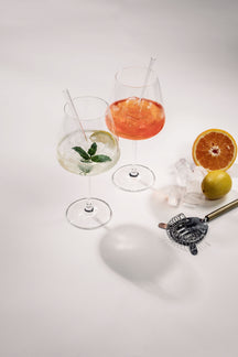 Verres à Gin Tonic Schott Zwiesel Taste 4 pièces - avec pailles et brosse