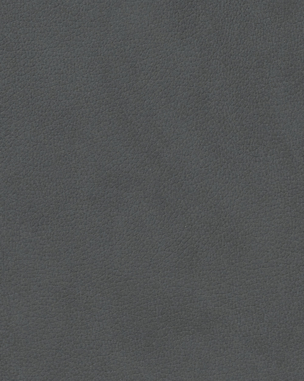 Sets de table LIND DNA Nupo - Cuir - Anthracite - Courbé - 44 x 37 cm - 2 pièces