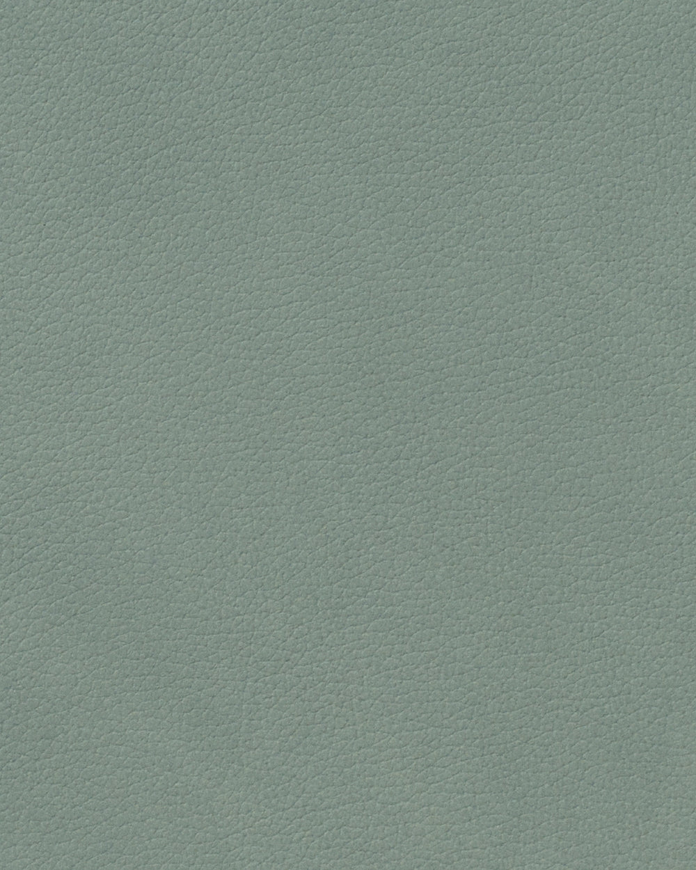 Sets de table LIND DNA Nupo - Cuir - Vert pastel - 45 x 35 cm - 2 pièces