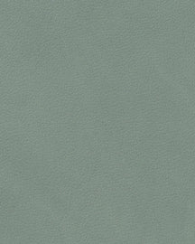 Sets de table LIND DNA Nupo - Cuir - Vert pastel - 45 x 35 cm - 2 pièces