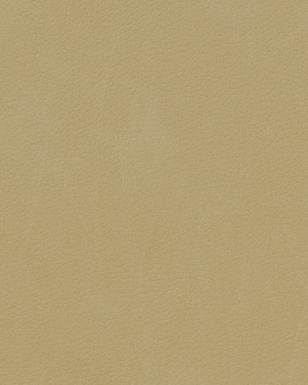 Sets de table LIND DNA Nupo - Cuir - Khaki - Courbé - 44 x 37 cm - 2 pièces