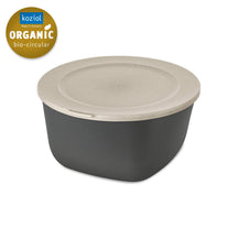 Boîte de conservation Koziol Connect Gris 25 x 25 x 13 cm / 4 litres