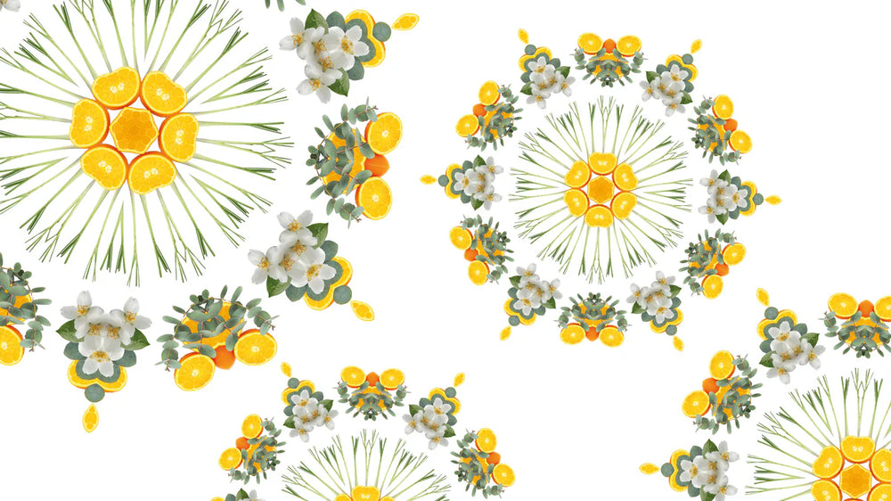 Bâtonnets parfumés Maison Berger Citronnelle 100 ml