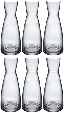 Bormioli Rocco Carafes Ypsilon - Transparent - 500 ml - 6 pièces