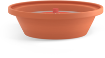 Bolsius Flame Bowl Citronnelle - 6 cm / ⌀ 23 cm