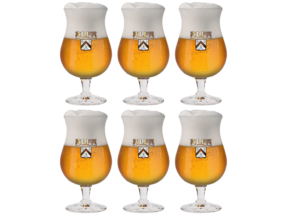 Verre à bière Alfa Sommelier 250 ml - 6 pièces