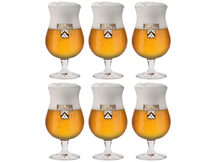 Verre à bière Alfa Sommelier 250 ml - 6 pièces