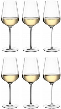 Verres à vin blanc Leonardo Brunelli 470 ml - 6 pièces