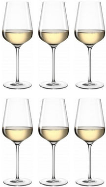 Verres à vin blanc Leonardo Brunelli 470 ml - 6 pièces