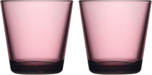 Iittala Waterglazen Kartio - Calluna - 210 ml - 2 Stuks