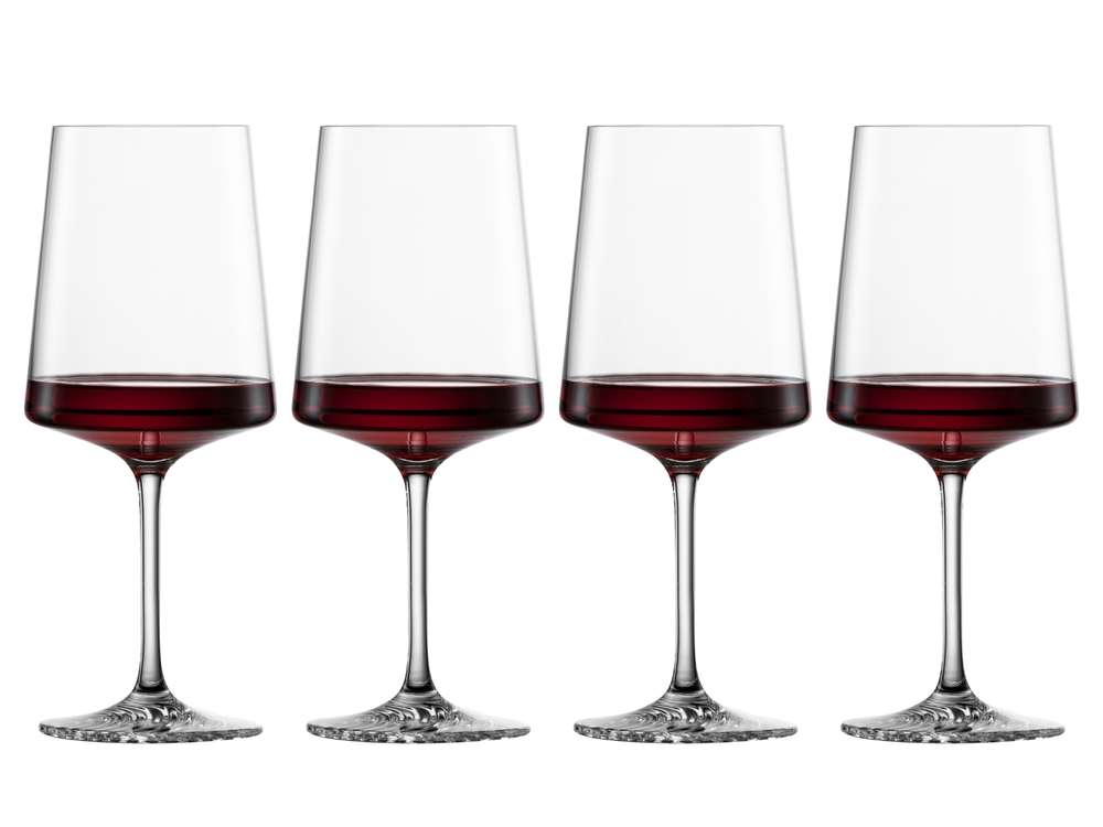 Verres à vin Schott Zwiesel Allround Echo 572 ml - 4 pièces