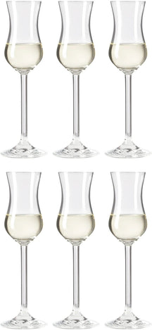 Verres à grappa Leonardo Daily 100 ml - 6 pièces