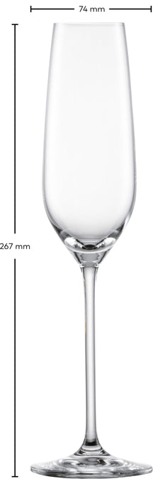 Verres à champagne Schott Zwiesel Fortissimo - 240 ml - 4 pièces