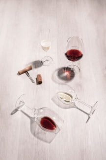 Verre à vin blanc Schott Zwiesel For You - 368 ml - 4 pièces