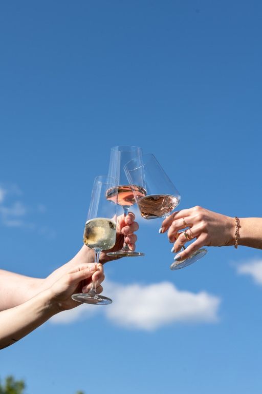 Verres à vin blanc Schott Zwiesel MioVino - 380 ml - 4 pièces