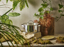 Beka Kookpan met glazen deksel - Cicla - RVS - ø 24 cm - 5.2 Liter - geschikt voor alle warmtebronnen