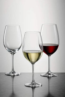 Verres à vin blanc Schott Zwiesel Ivento 350 ml - 6 pièces