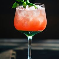 Mocktail tonique pamplemousse