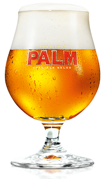 Verre à Bière Palme - 250 ml