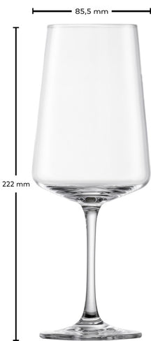 Set de verres a vin Schott Zwiesel - Verres a vin rouge - MioVino - 12 pieces