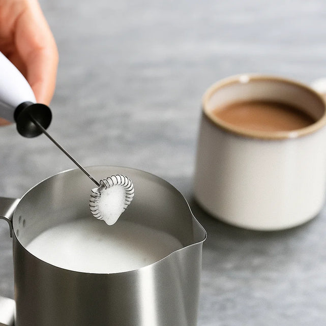 Le type de mousseur à lait